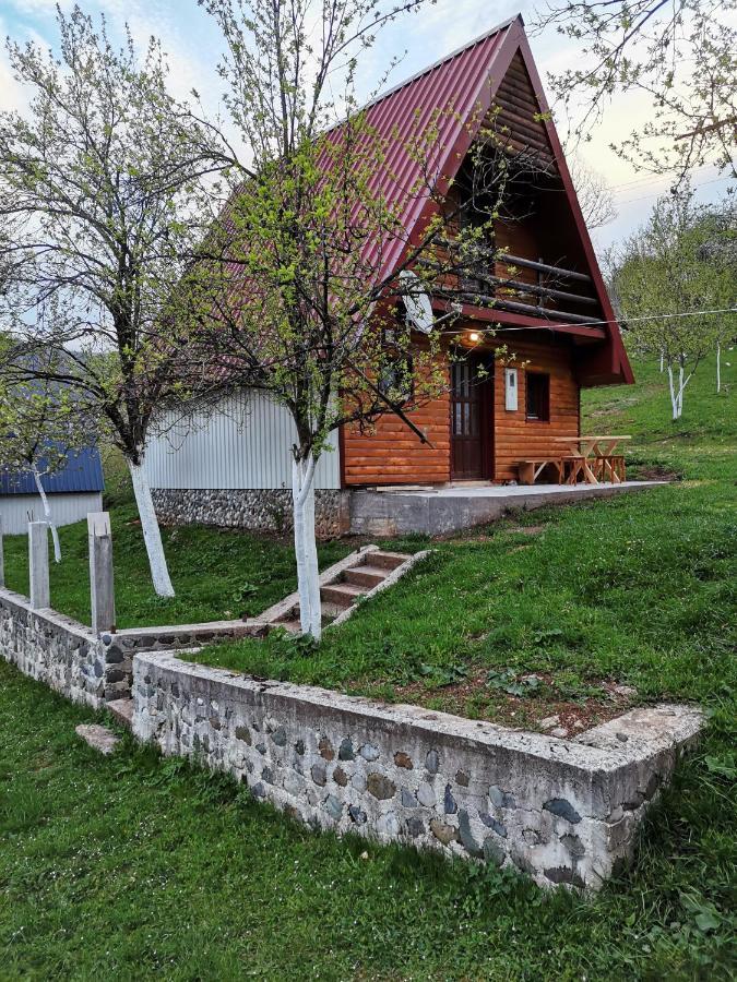 Ethno Cottage Momo Tepca Zabljak  Bagian luar foto