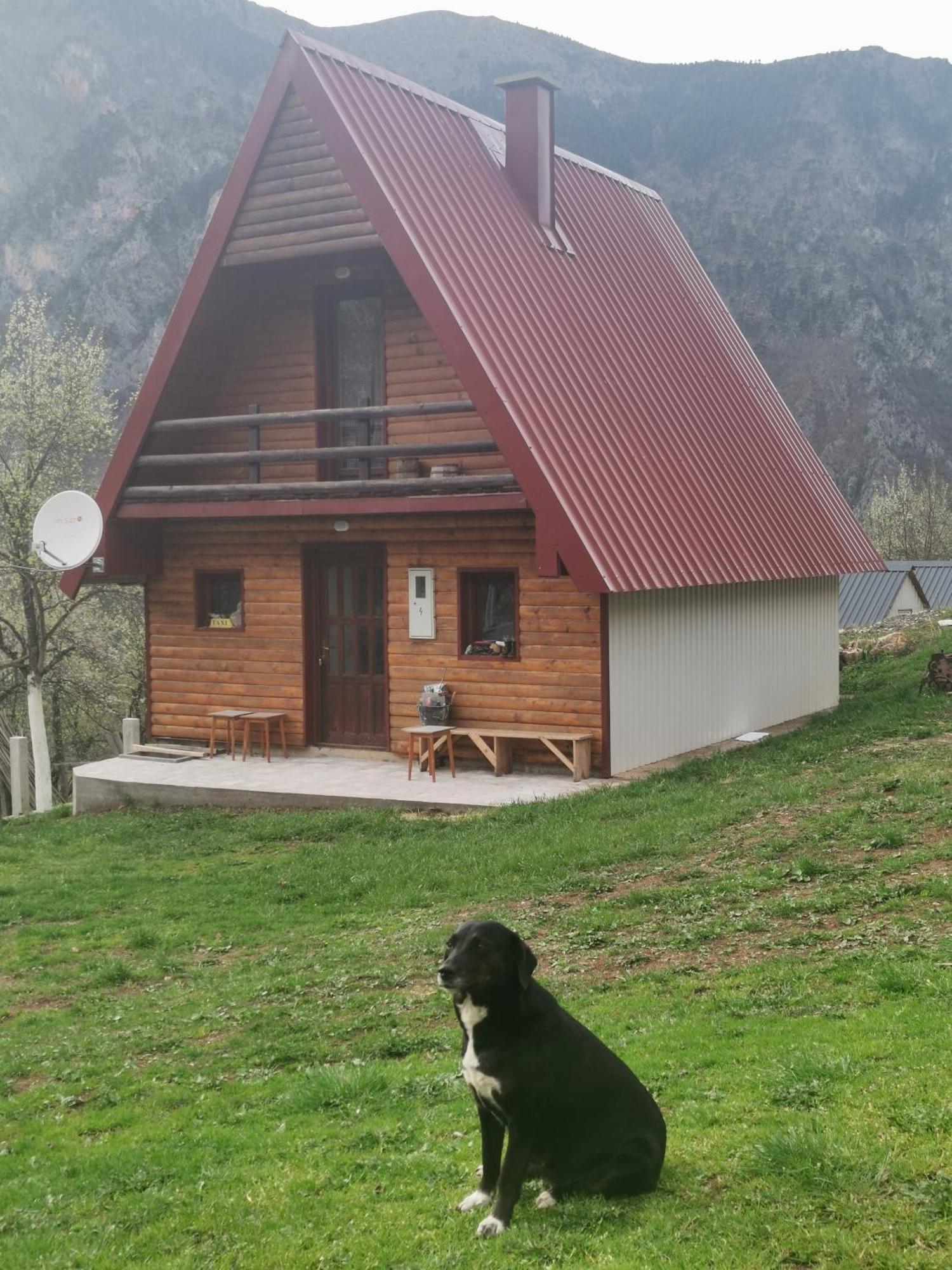 Ethno Cottage Momo Tepca Zabljak  Ruang foto